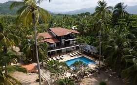 Coconuco Beach Palomino